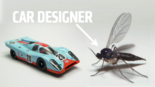 Illustration for article titled How Gnats Redesigned The Porsche 917